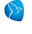 Grupotel The Sea